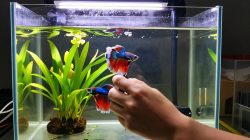 Screen Protector Hydrogel Review: Kelebihan Dibanding Tempered Glass